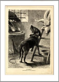 KRÄHE HUND SAU METZGEREI SCHLACHTEN 1883 HOLZSTICH GL290