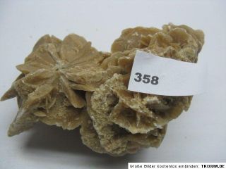 cm,Wüstenrose,Edelstein,Heilstein,Mineral,Kristall,0,7 kg/ 358