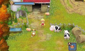 Harvest Moon DS Geschichten zweier Städte Nintendo DS 