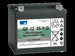 Sonnenschein Golfbatterie 12V / 28Ah C20 (+ 25Ah C5)