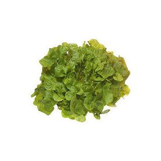 amorebio Bio Salat Eichblatt rot/grün 1 Stk Lebensmittel