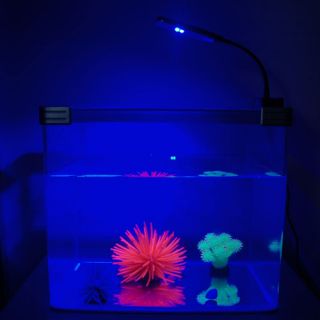 Neu 28er LED Weiß Blau Aquarium Fisch Leuchte Lampe Beleuchtung Clip