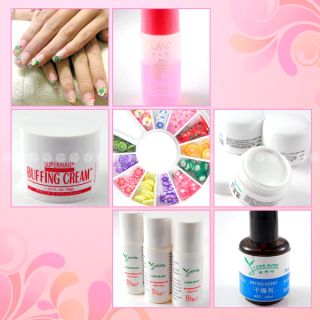 NAIL ART Acrylic powder + UV gel French Nail tips/ brush/ manicure kit