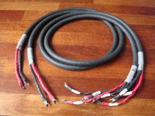 Cardas Golden Reference speaker cables biwire 2,0 metre