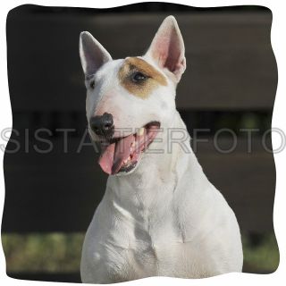 KISSENBEZUG BULLTERRIER 598