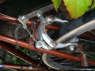 Vintage BIANCHI Rennrad   Singlespeed Rahmen 59cm Abholung Marburg