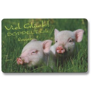 EC Karte Glueckskarte Viel Glueck Doppelt haelt besser Gluecksschweine