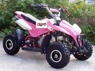 Mini Quad ATV Kinderquad 49 cc Powerquad 49ccm aktuelles Modell NEU