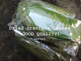 60 Guyabano / Soursop / Annona Muricata / Graviola DRIED LEAVES (GOOD