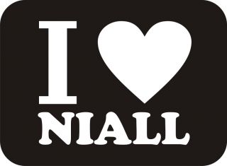 LOVE NIALL Horan Boys Band 1D One Direction Up All Night Music Funny