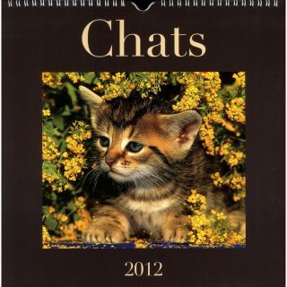 Chats 2012 ; le calendrier   Achat / Vente livre Gabrièle Boiselle