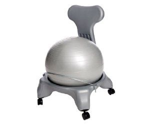 Aeromat Ball Chair   Gray