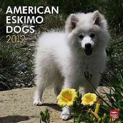 American Eskimo Dogs 2012 Calendar (Calendar)