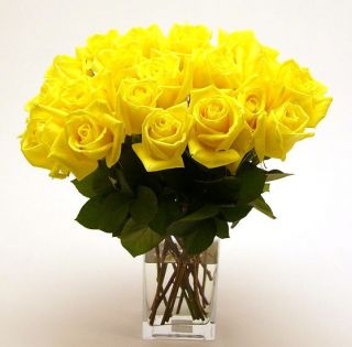 Yellow Long Stem Roses (Case of 20)