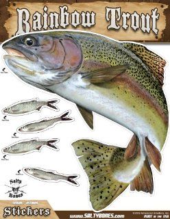 Salty Bones Large Rainbow Trout Action Decal   13.5 x 10