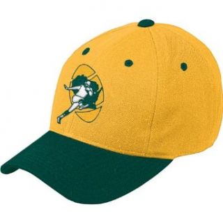NFL Green Bay Packers End Zone Retro Logo Wool Cap, One