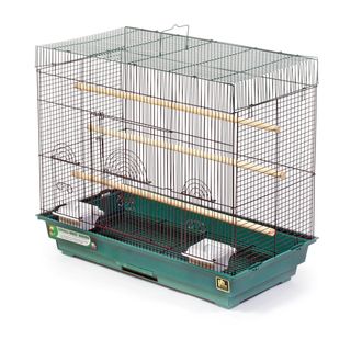 Prevue Pet Products Green and Black Flight Cage