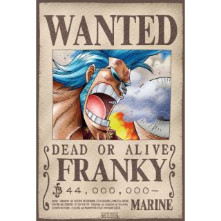 Wanted Franky 52x38cm     Poster One Piece Wanted Franky  Taille 52