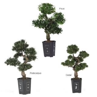 Artificial Bonsai Tree (36 in.) Today $94.99 4.0 (4 reviews)