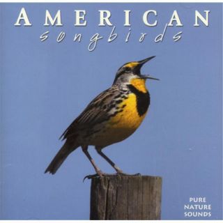 Naturescapes Music American Songbirds CD Today $30.37
