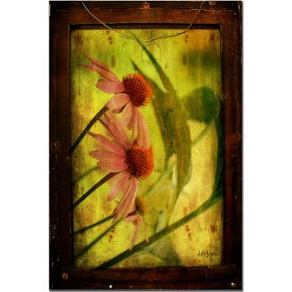 Lois Bryan Antiques Cone Flowers Canvas Art Today $55.99 Sale $50