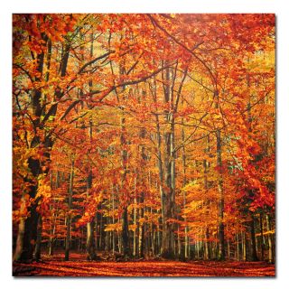 Philippe Sainte Laudy Red November Canvas Art Today $54.99 Sale $