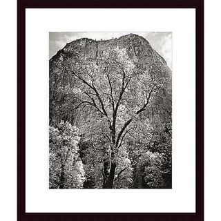 Ansel Adams Autumn Tree Against Cathedral Rocks, Yosemite Print