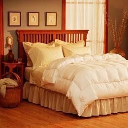 New   Pacific Coast® Light Warmth Comforter by Pacific
