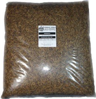  11 Lbs Bulk Freeze Dried Mealworms Approx. 176,000ct