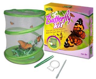 Fascinations GreenEarth Butterfly Kit Toys & Games