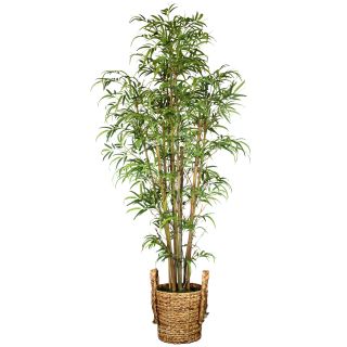 Ashley Silk Bamboo Tree with Basket Planter Today $137.99