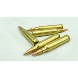 223 / 5.56 Dummy Training rounds   Brass case   5pc set