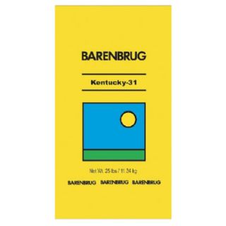 Barenbrug Usa 701695 25LB KY 31 Grass Seed