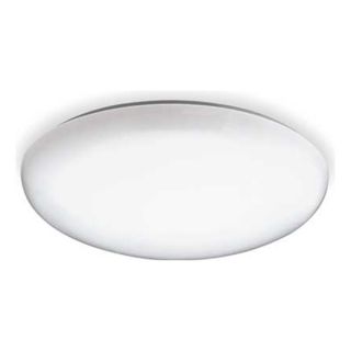 Lithonia FMLR 54 M4 Fixture, Decorative