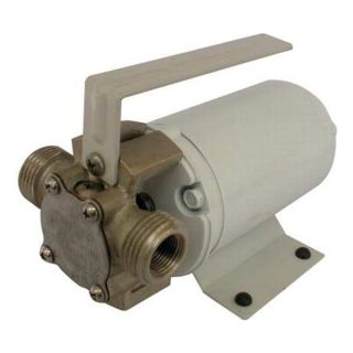 Dayton 5UXL8 Utility Pump 12VDC