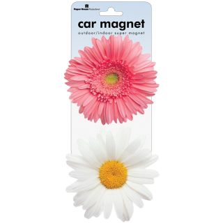 Daisy Car Magnets (Pack of 2)