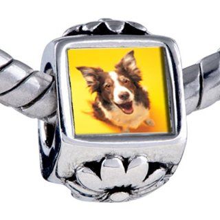 Pugster Bead Border Collie Dog Beads Fits Pandora Bracelet