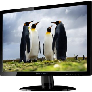 Hanns.G HE247DPB 24 LED LCD Monitor   169   5 ms Today $156.99
