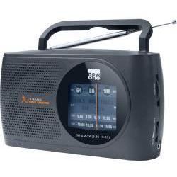 NEW ONE   Radio R209   ModèleTuner  analogiqueGamme dondes  FM