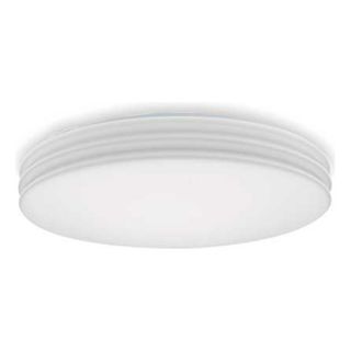 Lithonia 11986 M4 Decorative Fluorescent Fixture, Circle