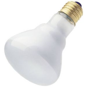 Westinghouse 03640 54 True Value 100W Reflector Flood Beam Recessed/Track Reflector Light Bulb