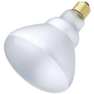 Westinghouse 03982 54 True Value 120W BR40 Reflector Bulb